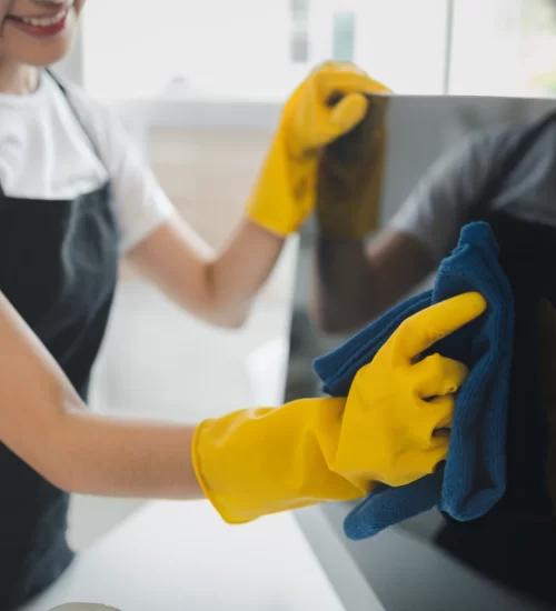 benaco-care-service-societa-a-responsabilita-limitata-semplificata-YLK3KAW